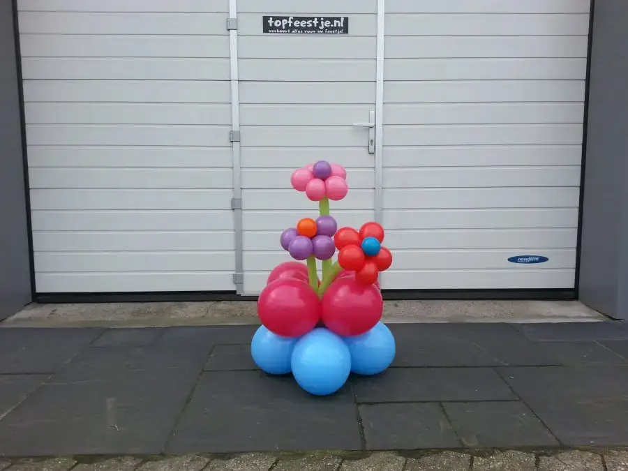 Ballonbloem in pot