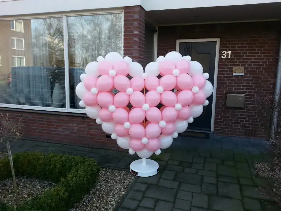 Ballonnenhart 3d groot