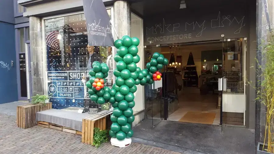 Ballonnen cactus
